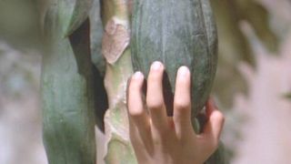 그린 파파야 향기 The Scent of Green Papaya, Mui Du Du Xanh : L\'Odeur De La Papaye Verte Photo