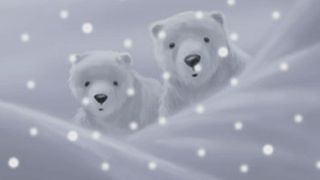 곰의 포옹 Bear Hug, 擁抱大白熊 写真