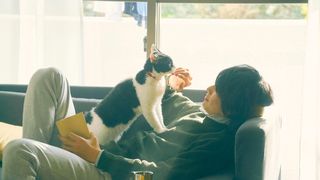 旅貓日記  The Traveling Cat Chronicles劇照