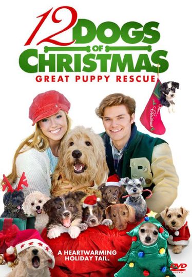 12 독스 오브 크리스마스: 그레이트 퍼피 레스큐 12 Dogs of Christmas: Great Puppy Rescue劇照