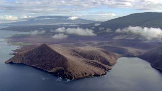 加拉帕戈斯群島 Galápagos Photo
