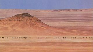 아라비아의 로렌스 Lawrence of Arabia Photo