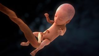 태아 3D Fetus劇照