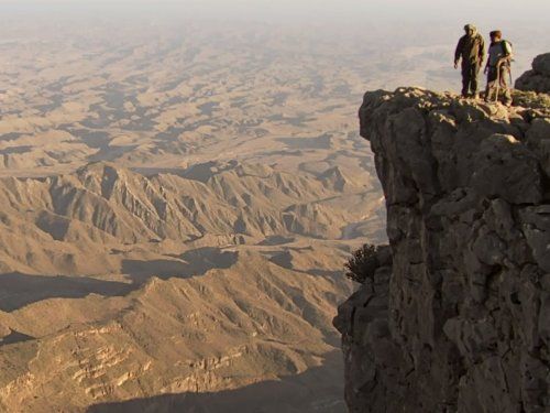 狂野阿拉伯 Wild Arabia รูปภาพ