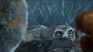가디언의 전설 Legend of the Guardians: The Owls of Ga\'Hoole劇照