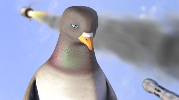 피전 임파서블 Pigeon: Impossible劇照