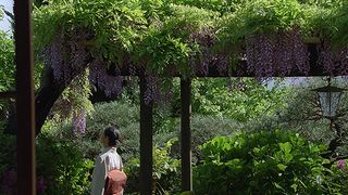 椿の庭 사진