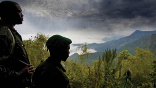 비룽가 Virunga 사진