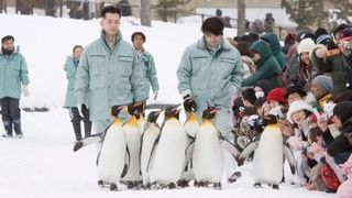 旭山動物園物語　ペンギンが空をとぶ 사진