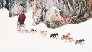 스노우 독스 Snow Dogs Photo