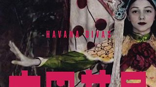 ảnh 고파화단 Havana Divas