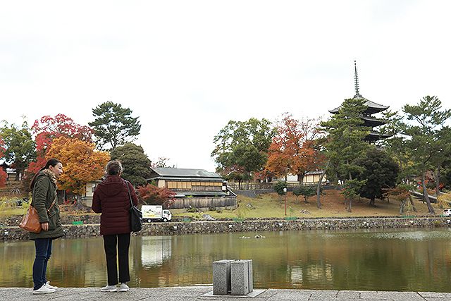 再会の奈良 รูปภาพ