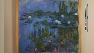 정원을 그리다 : 모네에서 마티스까지 Painting the Modern Garden: Monet to Matisse 사진