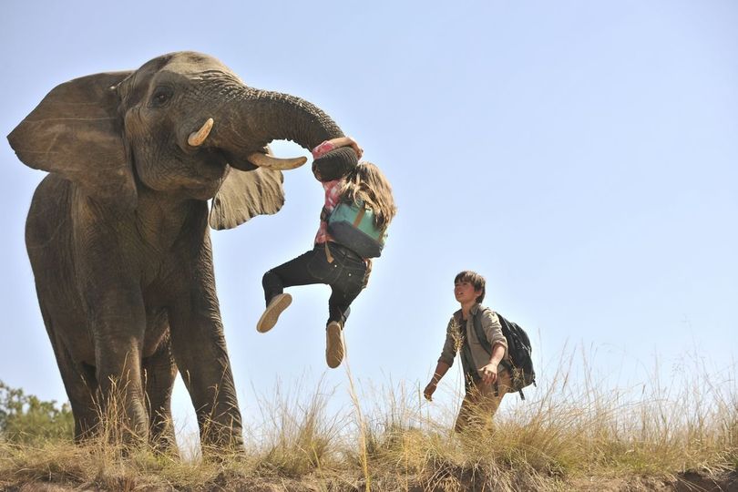 Against the Wild 2: Survive the Serengeti劇照