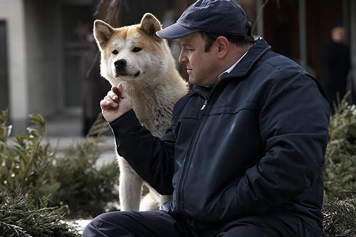 HACHI 約束の犬 Photo