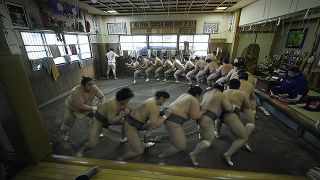 相撲道　サムライを継ぐ者たち Photo