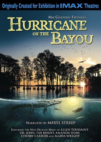 海灣的颶風 Hurricane on the Bayou劇照