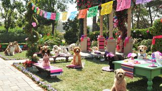 比佛利拜金狗3 Beverly Hills Chihuahua 3 Photo