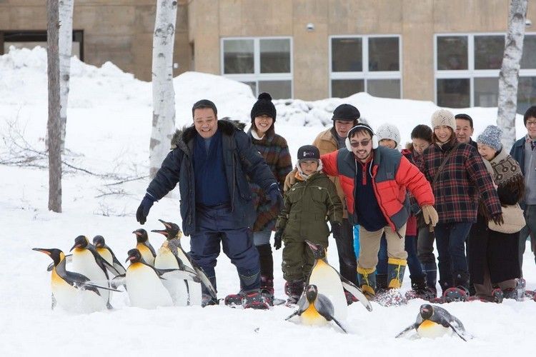 펭귄을 날게 하라 Penguins in the Sky - Asahiyama Zoo, 旭山動物園物語 ペンギンが空をとぶ รูปภาพ