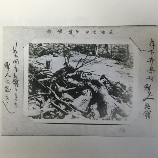 ảnh 감춰진 손톱자국: 관동대지진조선인학살기록영화 Hidden Scars: The Great Kanto Earthquake Korean Massacre, A Documentary