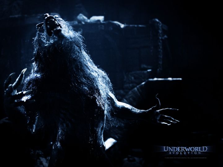 언더월드 2 : 에볼루션 Underworld : Evolution Photo