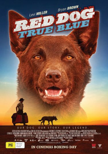 Red Dog: True Blue Dog: True Blue Photo
