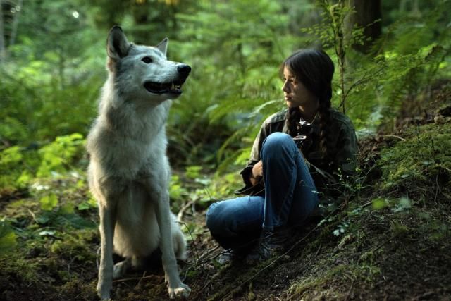 샤나-늑대의 음악 Shana: The Wolf\'s Music Foto