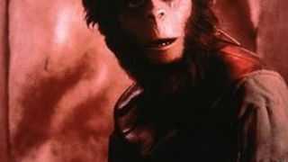 혹성탈출 Planet of the Apes Photo