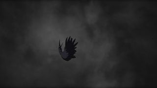 까마귀 The Crow Foto