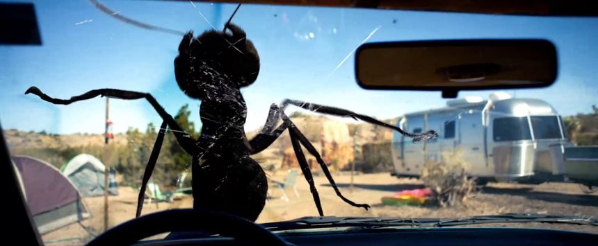데드 앤트: 거대개미의 습격 Dead Ant 写真