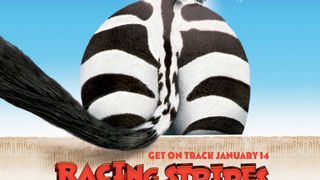 레이싱 스트라이프 Racing Stripes Foto
