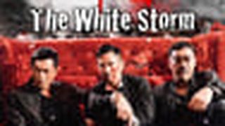 The White Storm 掃毒劇照