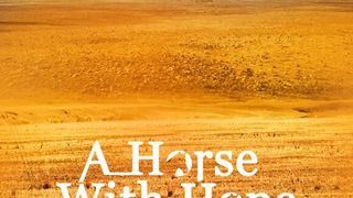 산나변유필마 A Horse with Hope Foto