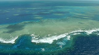 大堡礁 Great Barrier Reef Photo