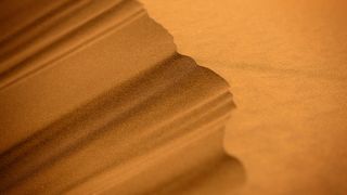 모래의 역습 2011 写真