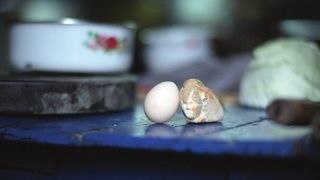 계란과 돌 Egg and Stone 雞蛋和石頭 Photo