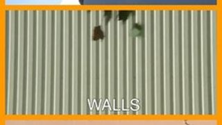 월스 Walls Foto