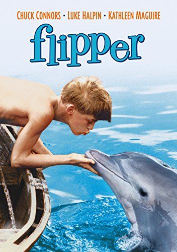 海豚飛寶 Flipper劇照