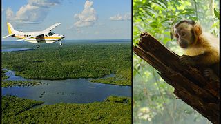 アマゾン大冒険　世界最大のジャングルを探検しよう！ 写真