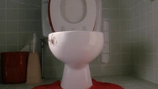 아라크네의 비밀 Arachnophobia Photo