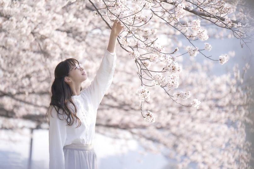 눈의 꽃 Snow Flower劇照