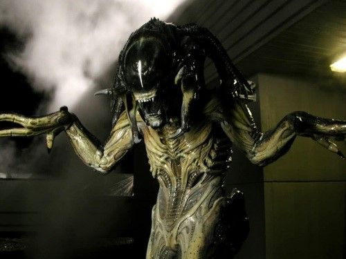 異形大戰鐵血戰士2 AVPR: Aliens vs Predator - Requiem Foto