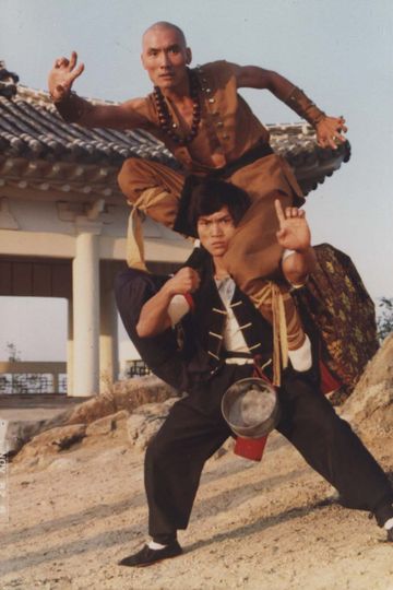 소림사 용팔이 Yong-Pal in Shaolin Temple Photo