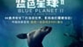 藍色星球2 Blue Planet II Photo