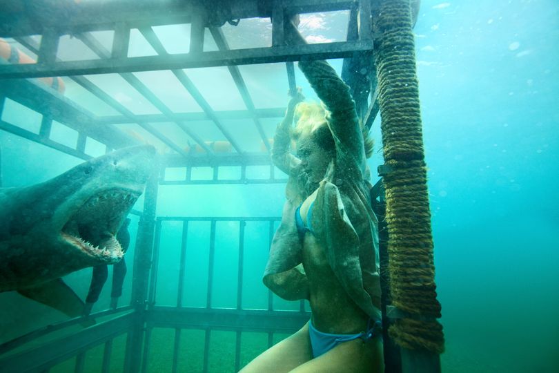 鯊魚驚魂夜 Shark Night 3D劇照