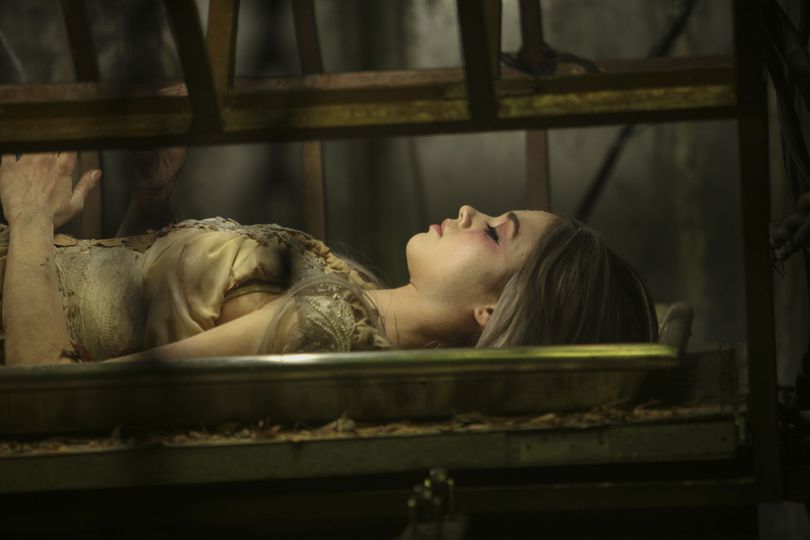 睡美人的詛咒 The Curse of Sleeping Beauty Foto