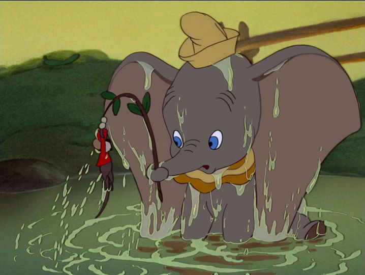 小飞象 Dumbo 사진