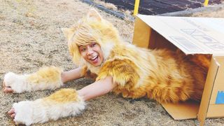 我的虎斑貓爸爸 Tiger： My Life as a Cat Foto