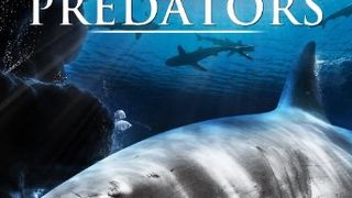海洋捕食者 Ocean Predators劇照