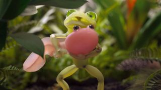 춤추는 개구리 Dancing Frog 写真